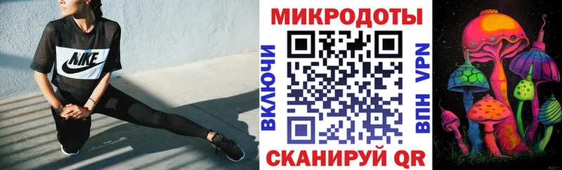 Купить где Махачкала Галлюциногенные грибы мицелий